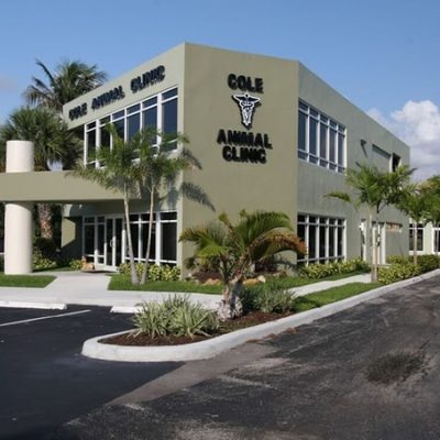 001_IMG_3929_2-1200x750